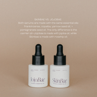 The Sampler // an intro bundle